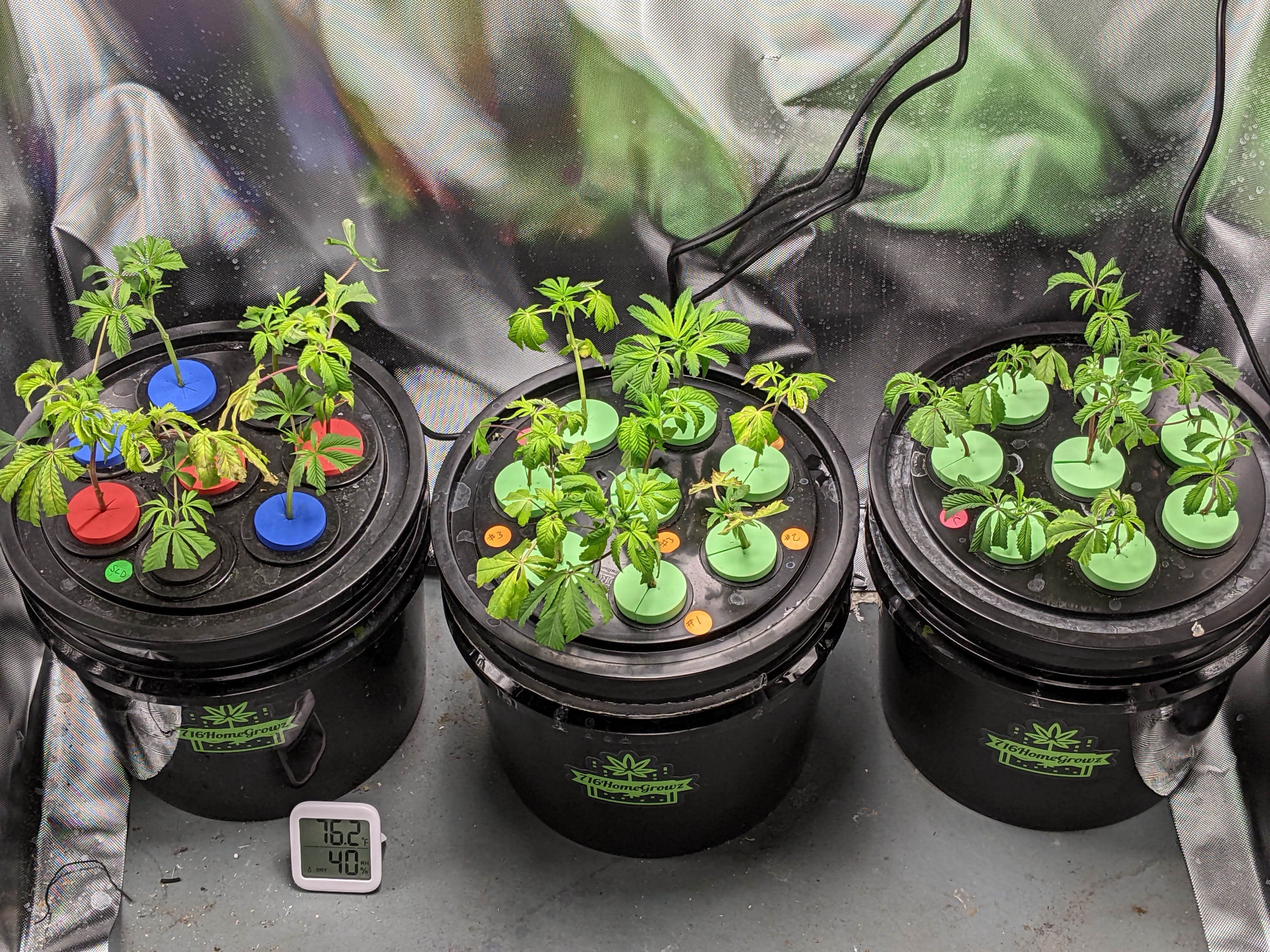Propagation Kits
