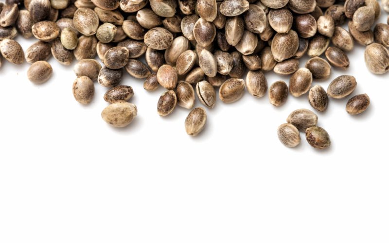 Seeds